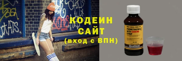 крисы Новозыбков