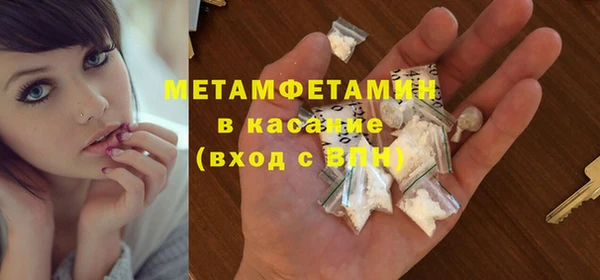 крисы Новозыбков