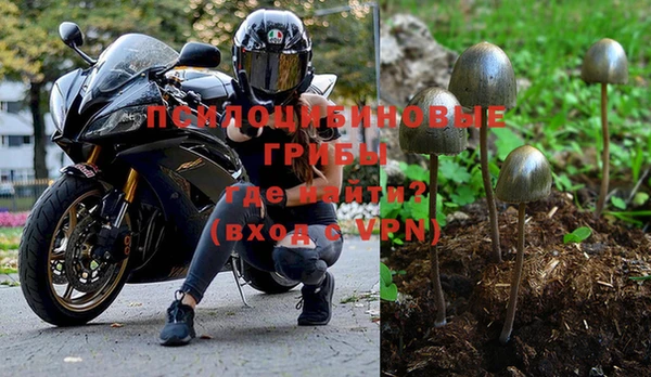 гидра Нефтекумск