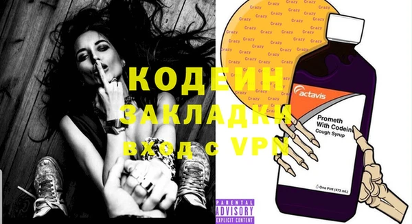 крисы Новозыбков