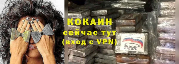 крисы Новозыбков