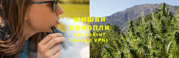 крисы Новозыбков