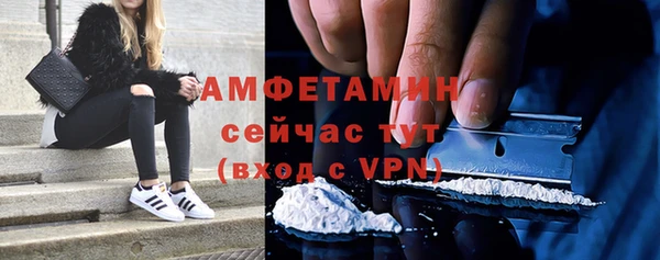 гашик Нея