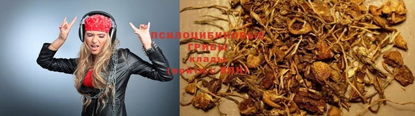 гидра Нефтекумск
