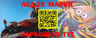 стаф Дубна