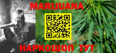 стаф Дубна