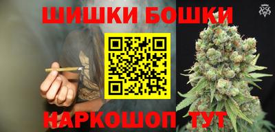 стаф Дубна
