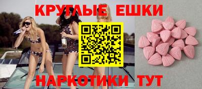 стаф Дубна