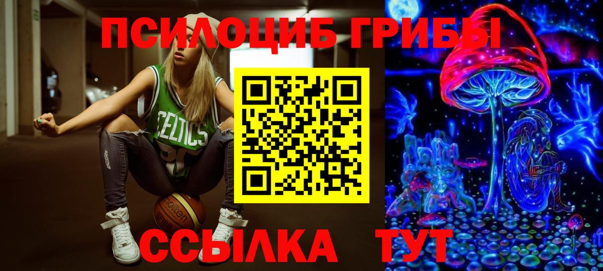 Псилоцибиновые грибы Psilocybe  Вход с VPN  Хабаровск 